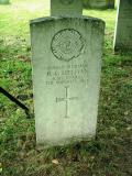 image of grave number 219648